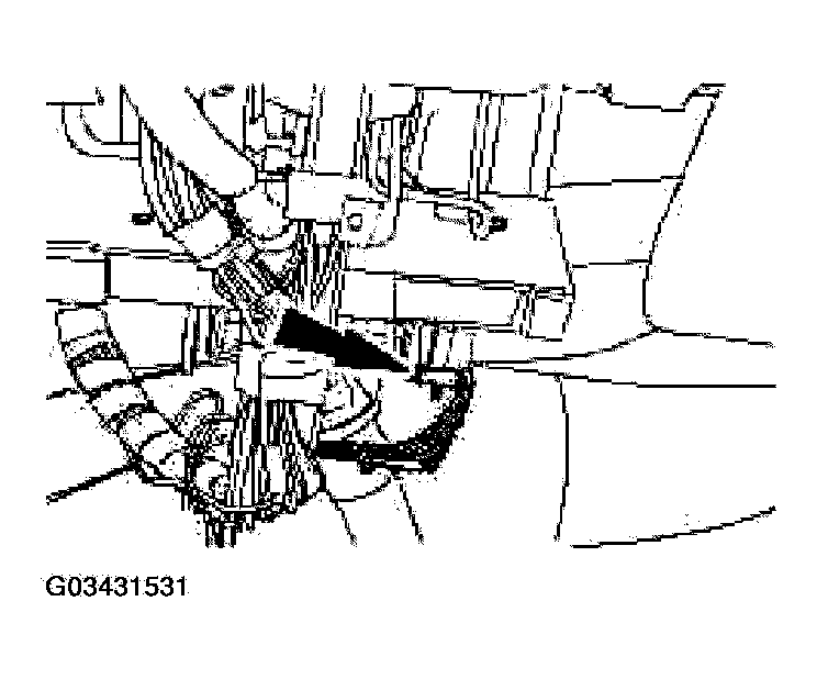 G03431531