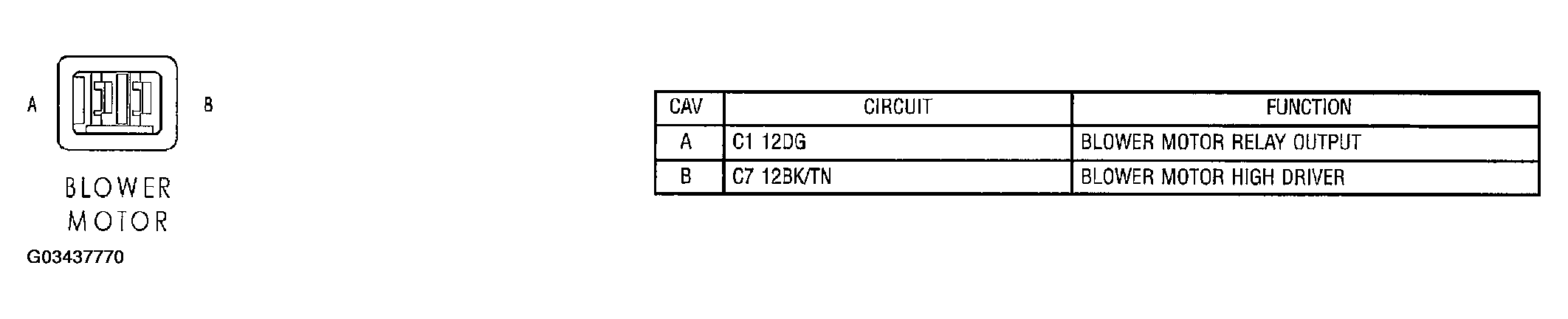 G03437770