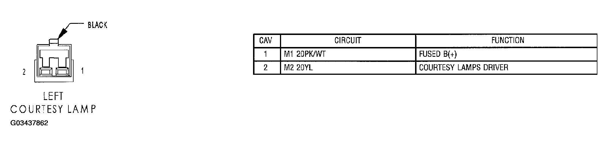 G03437862