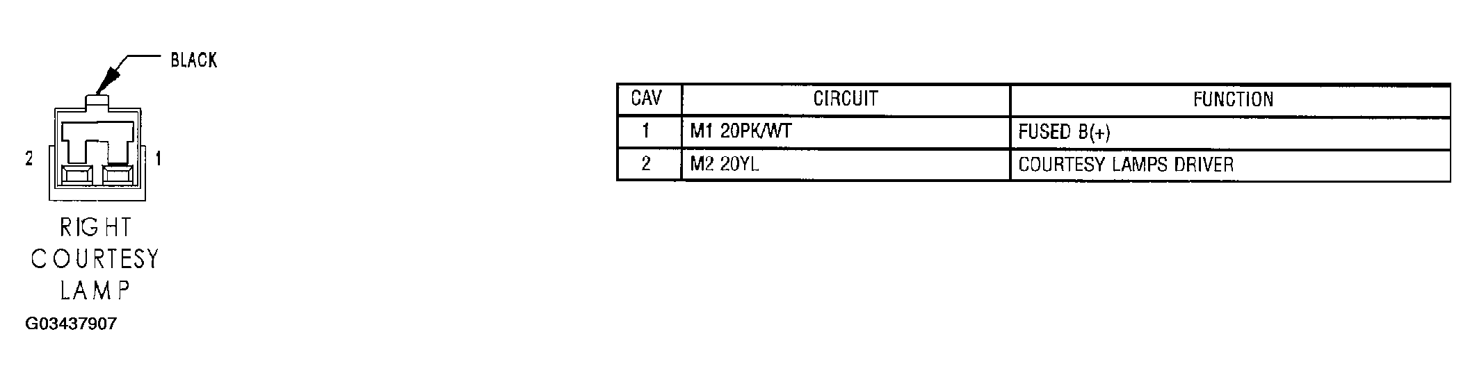 G03437907