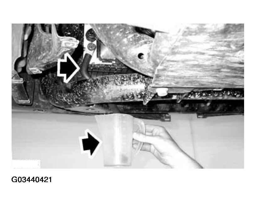 G03440421