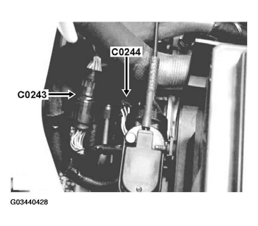 G03440428
