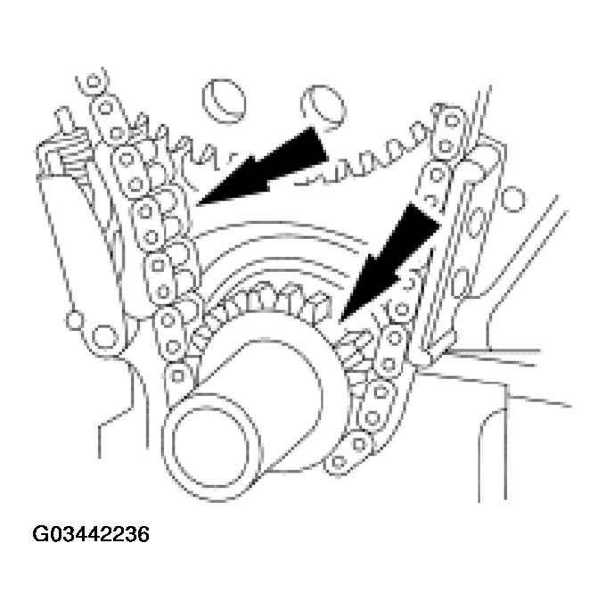 G03442236