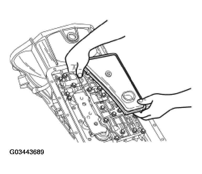G03443689