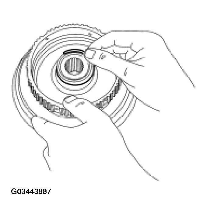 G03443887