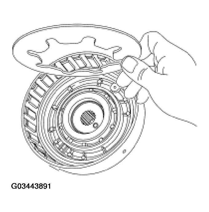 G03443891