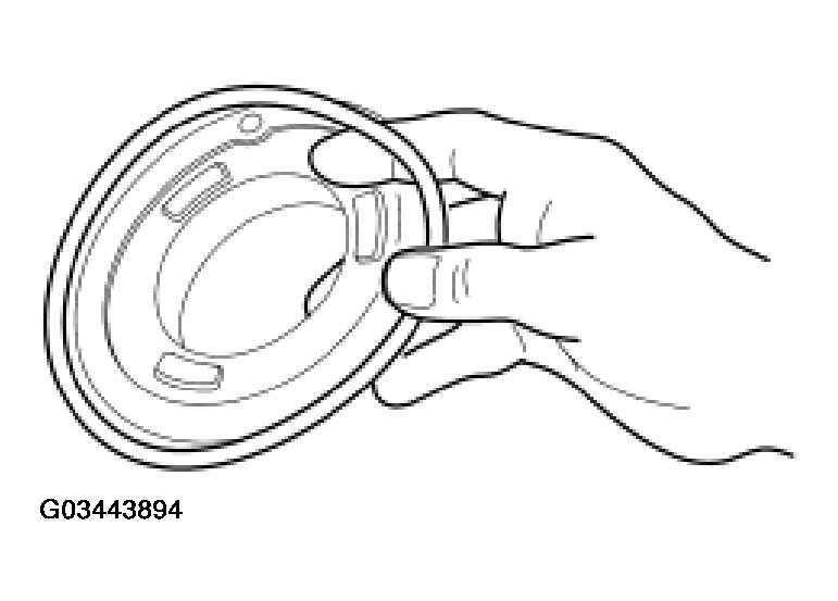 G03443894