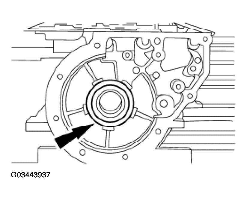 G03443937