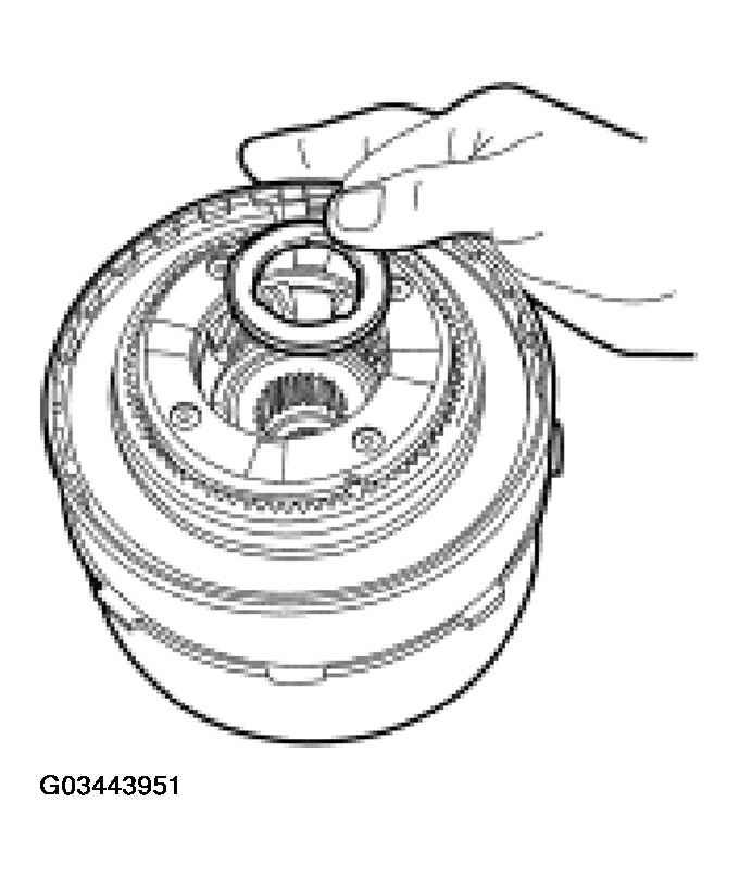 G03443951