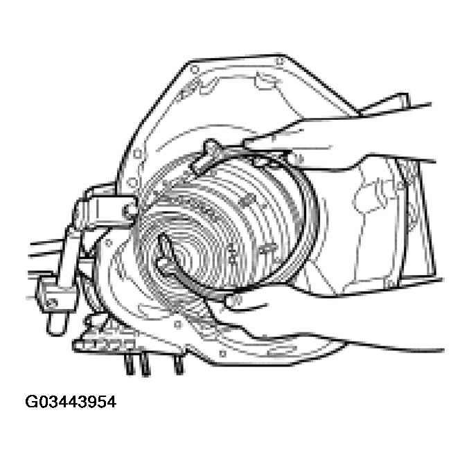 G03443954
