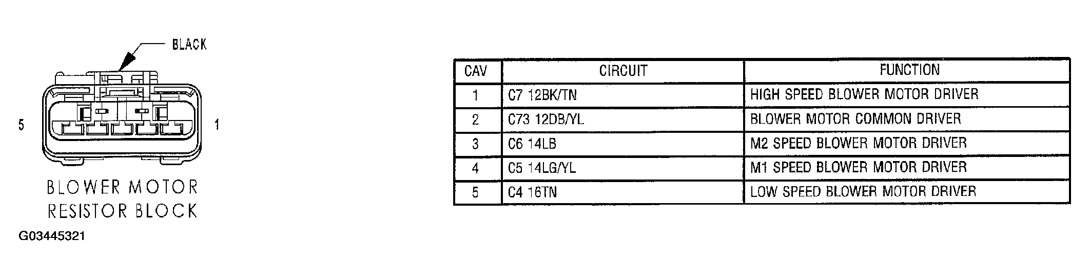 G03445321