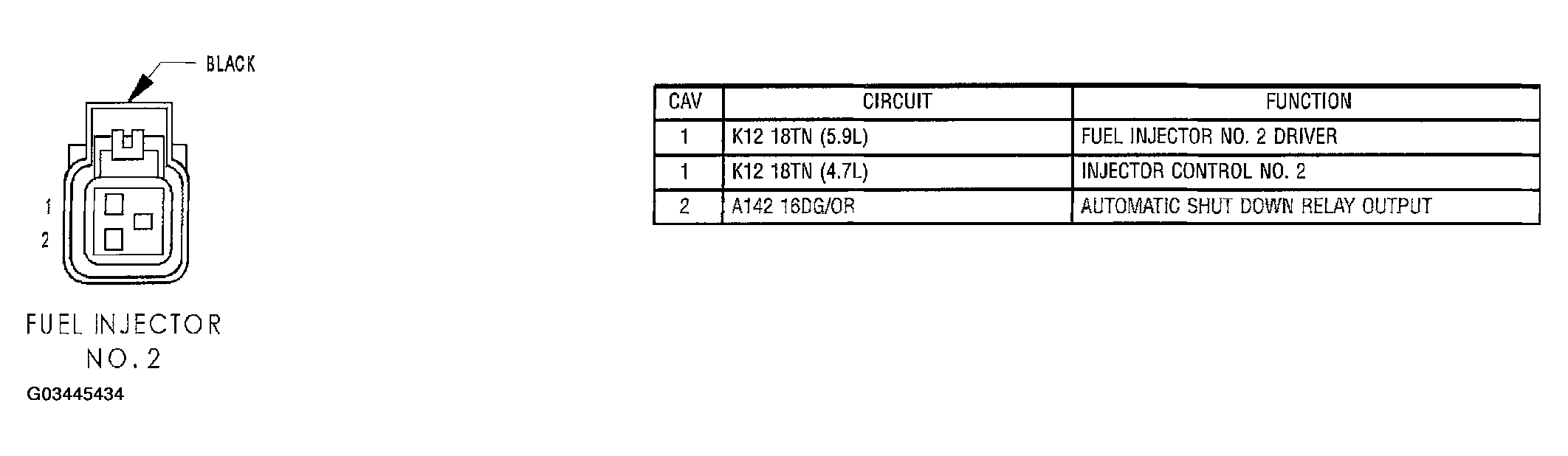 G03445434