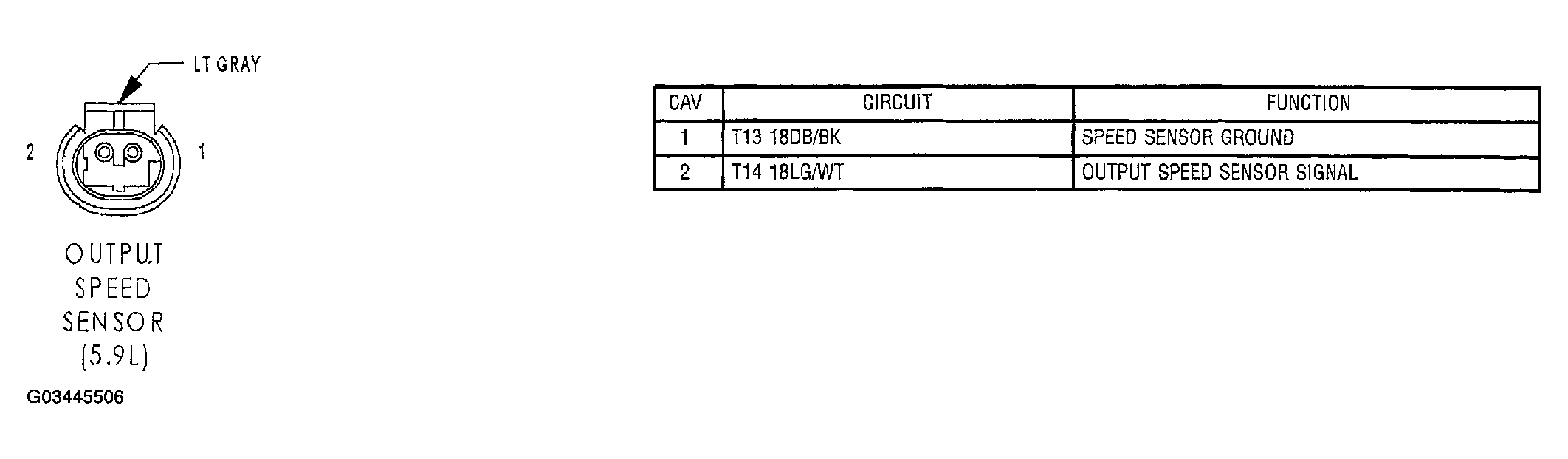 G03445506