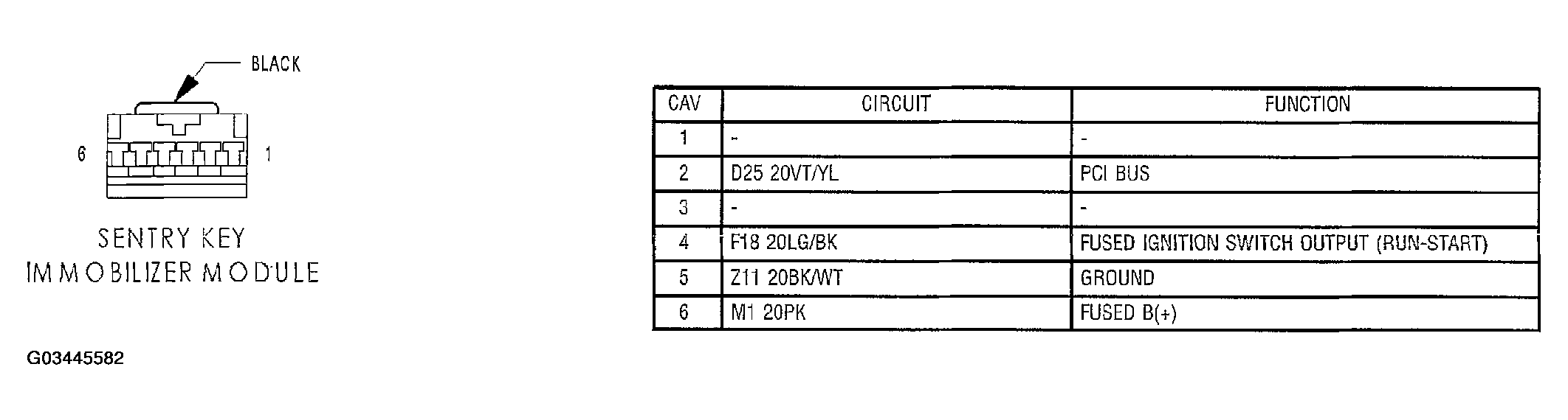 G03445582