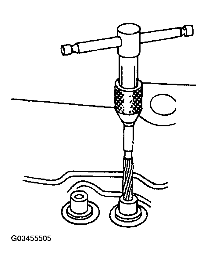 G03455505