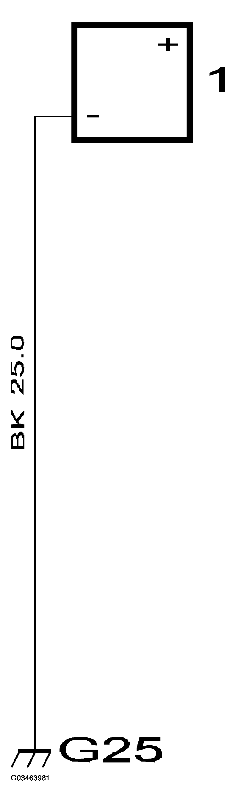 G03463981