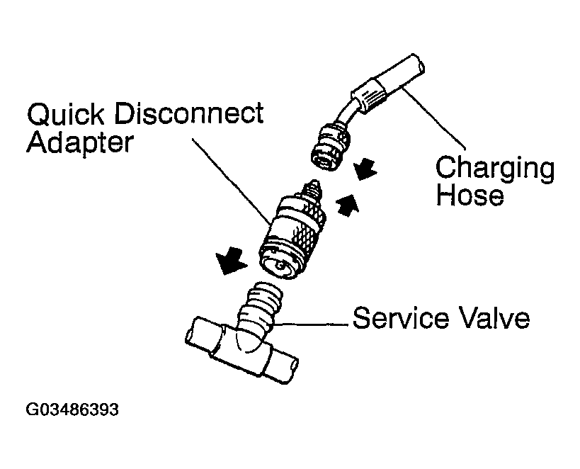 G03486393
