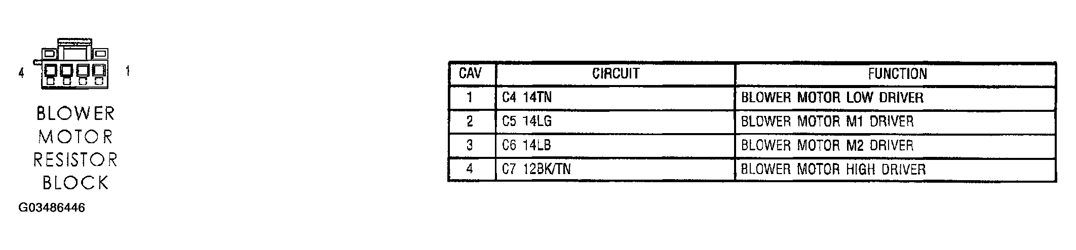 G03486446