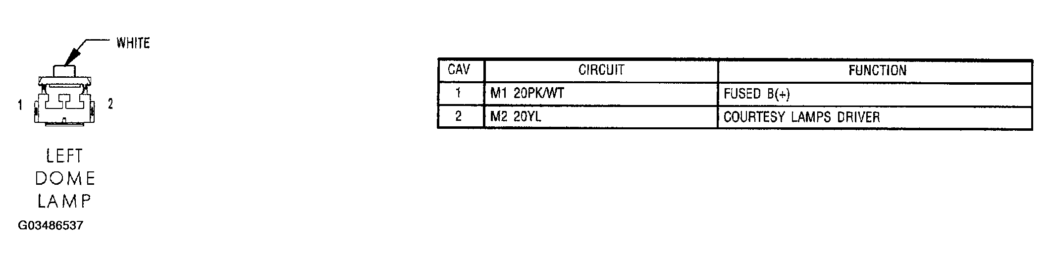 G03486537