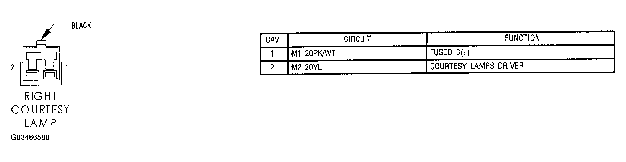 G03486580