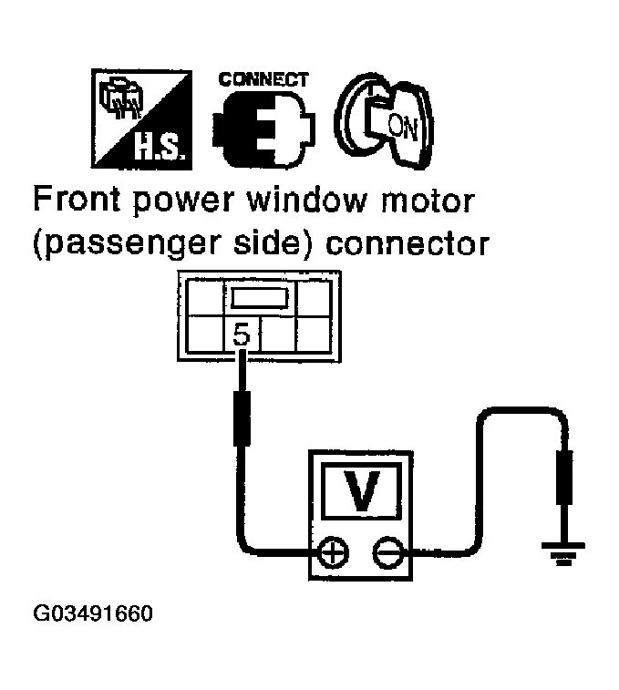 G03491660