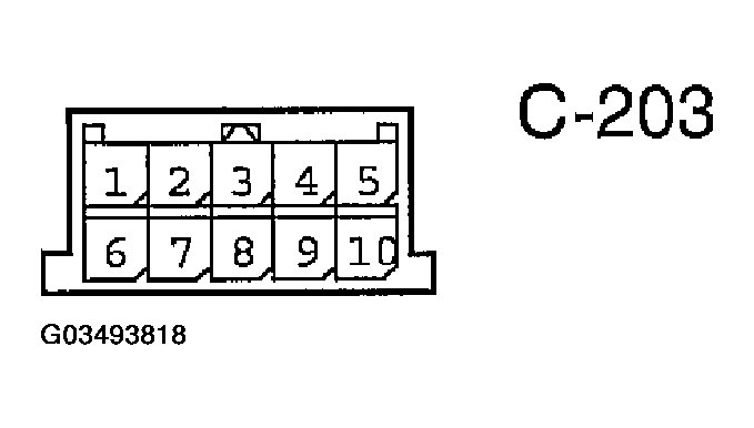 G03493818