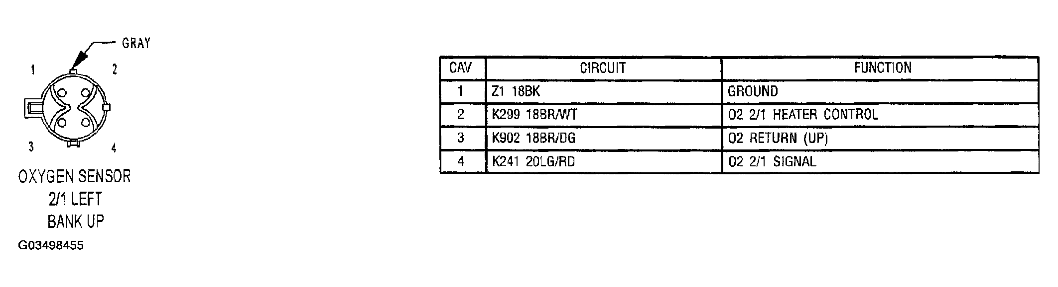 G03498455