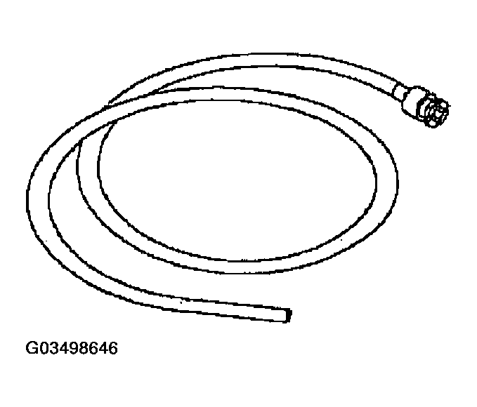 G03498646