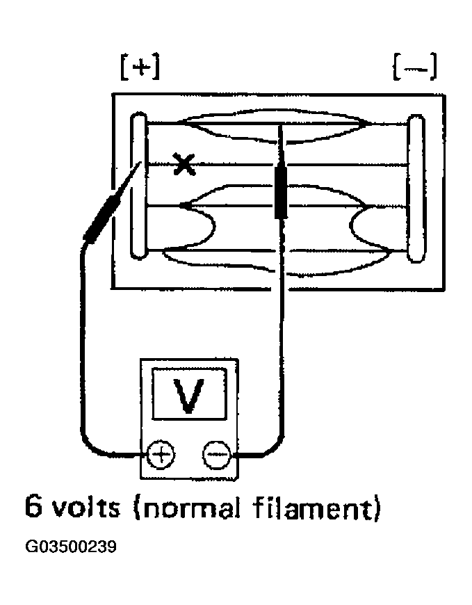 G03500239