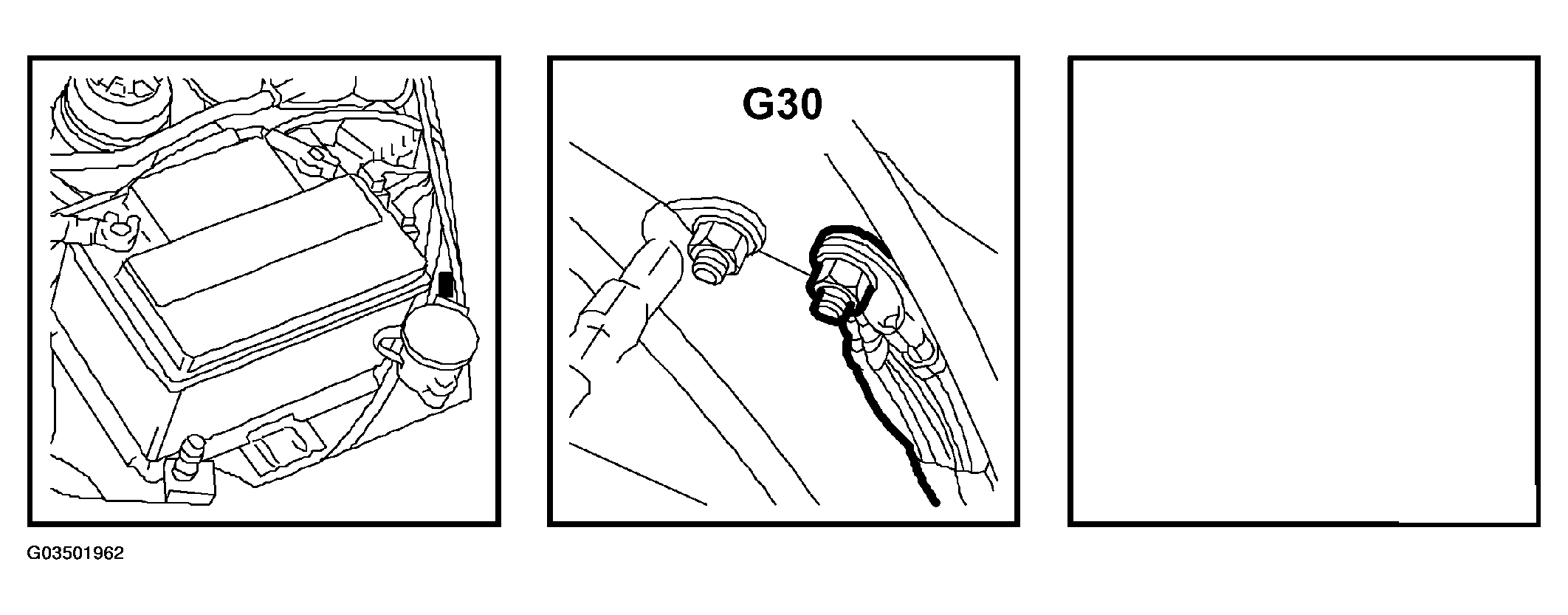 G03501962