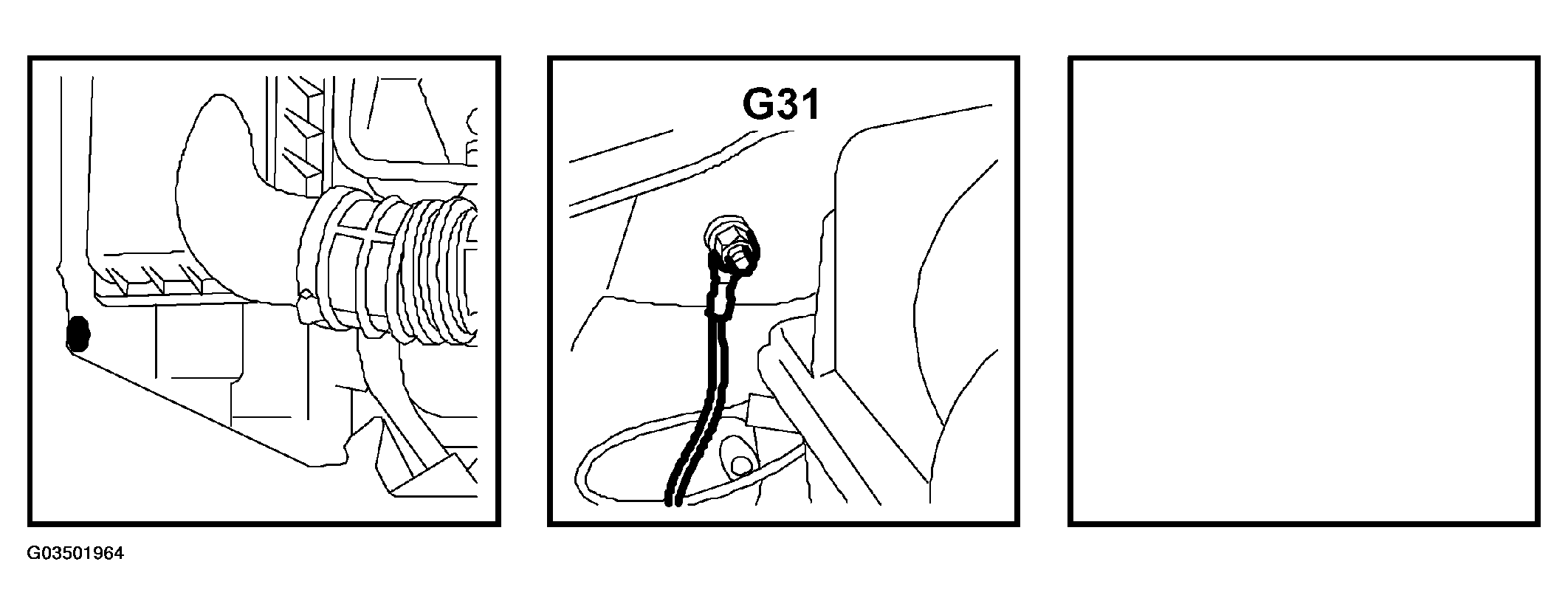 G03501964