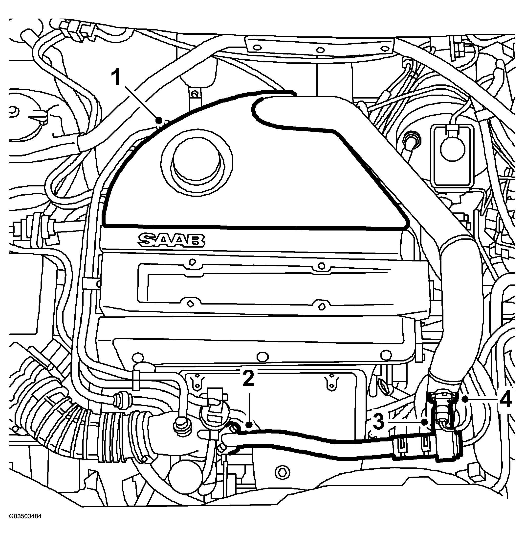 G03503484