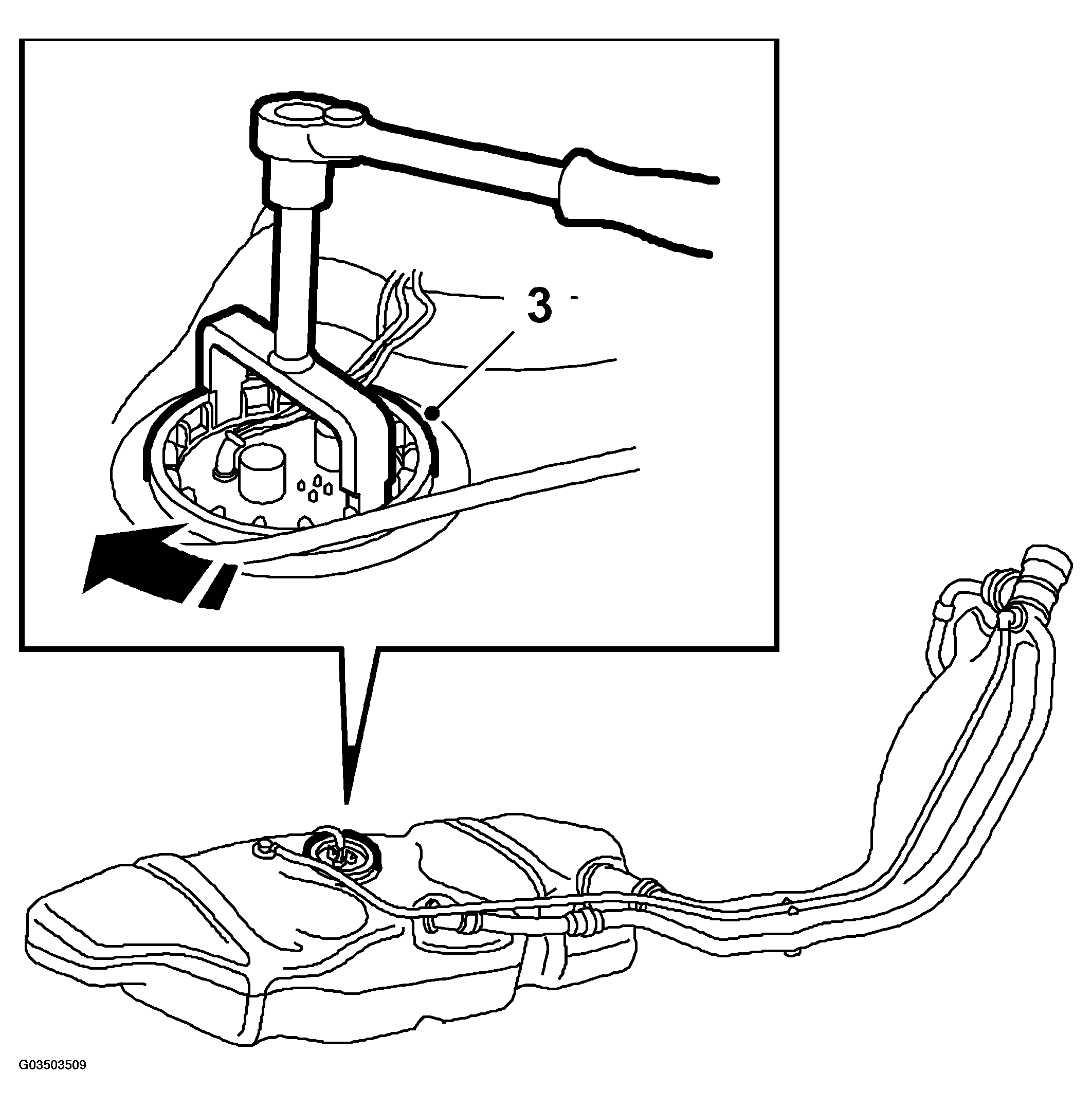 G03503509