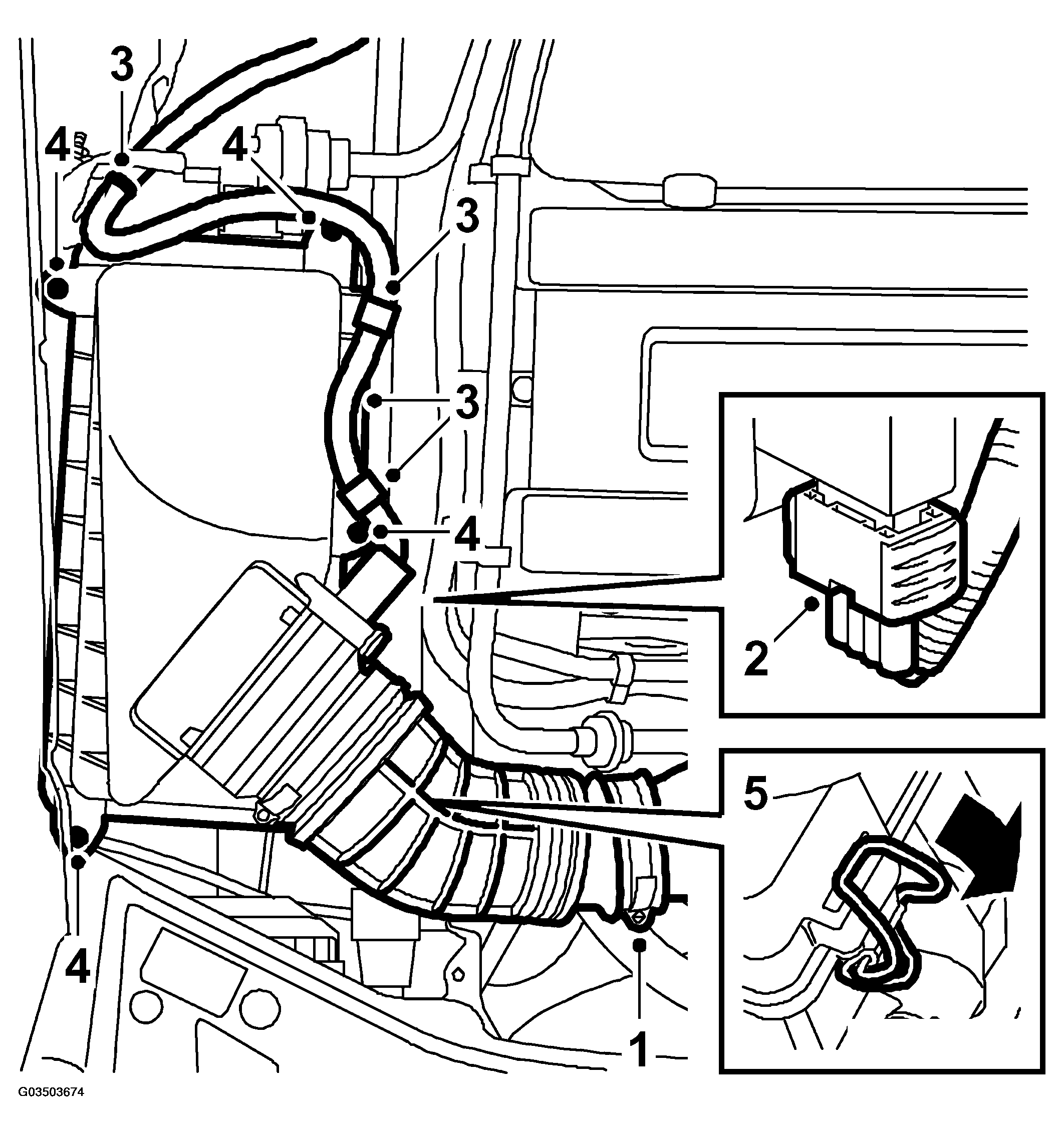 G03503674