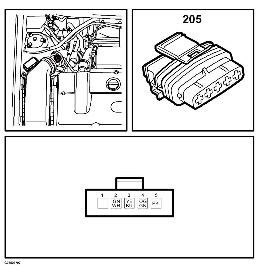G03503797