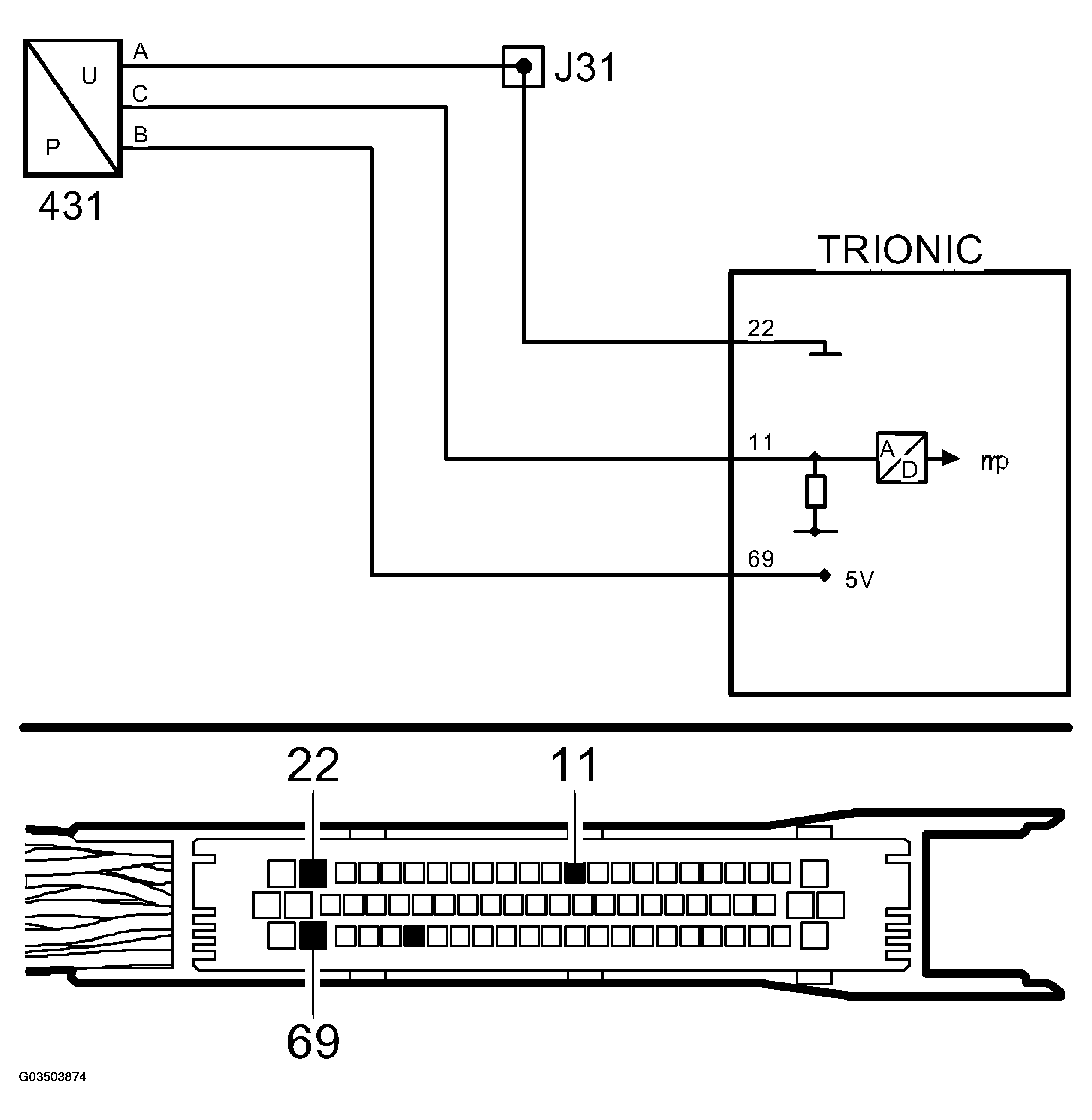 G03503874