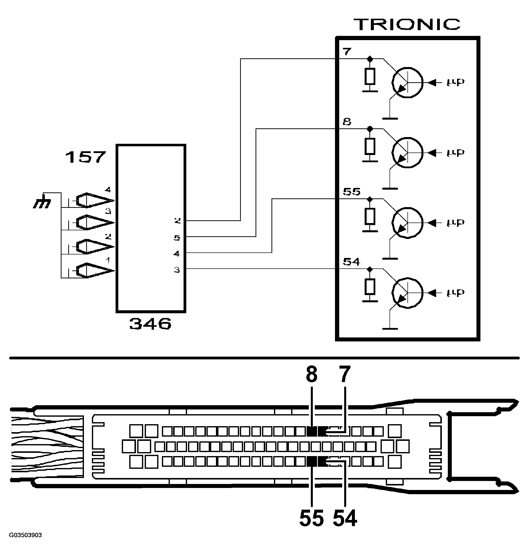 G03503903