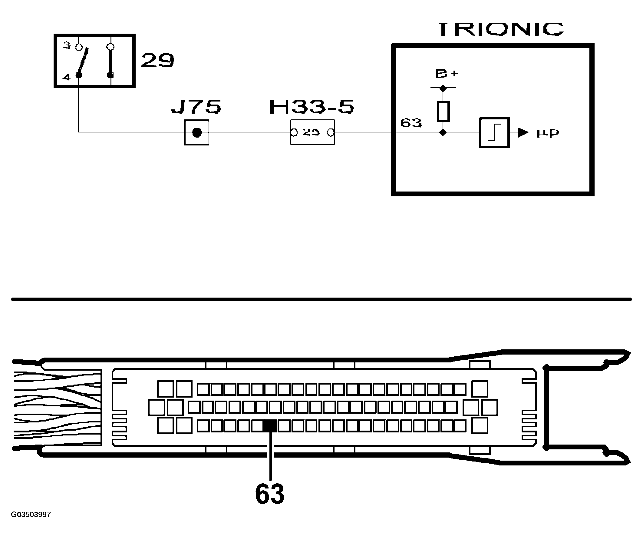 G03503997