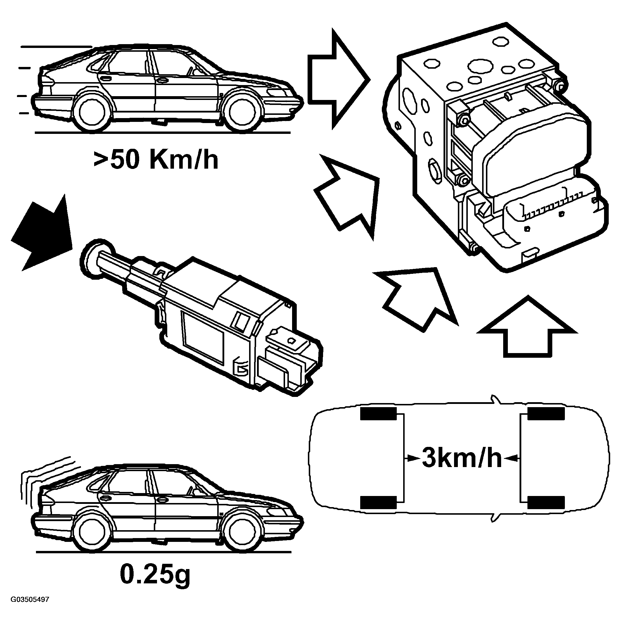 G03505497