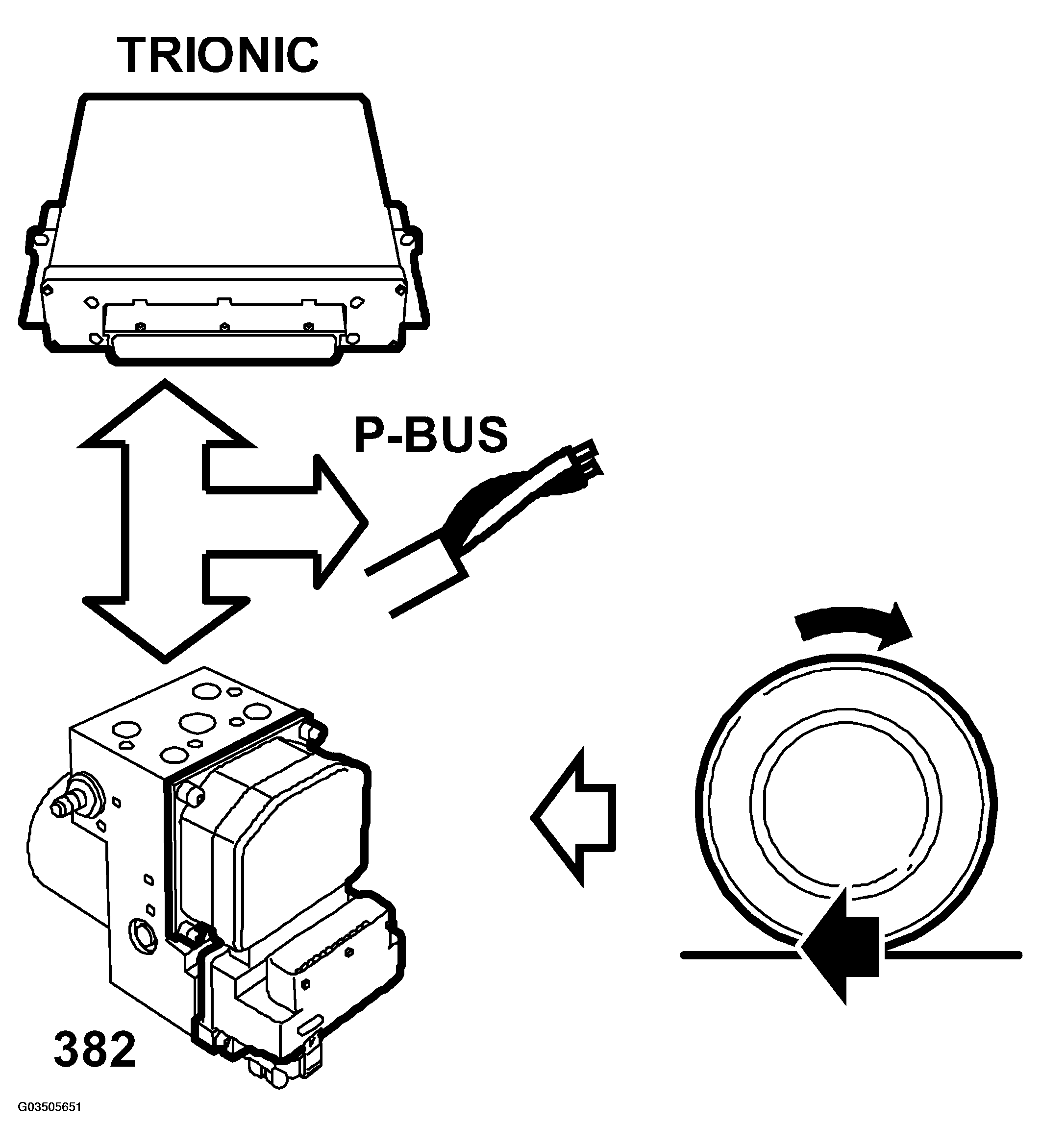 G03505651