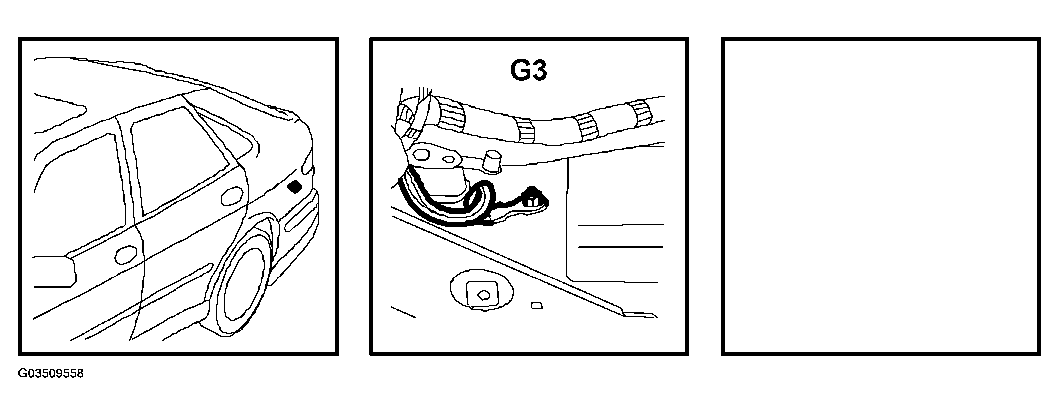 G03509558