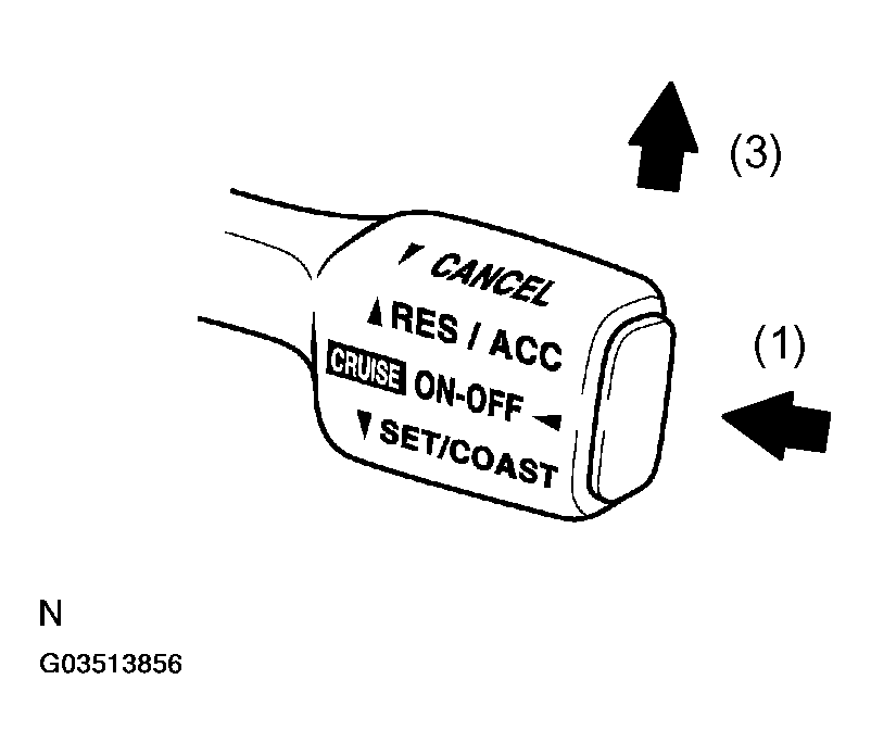 G03513856