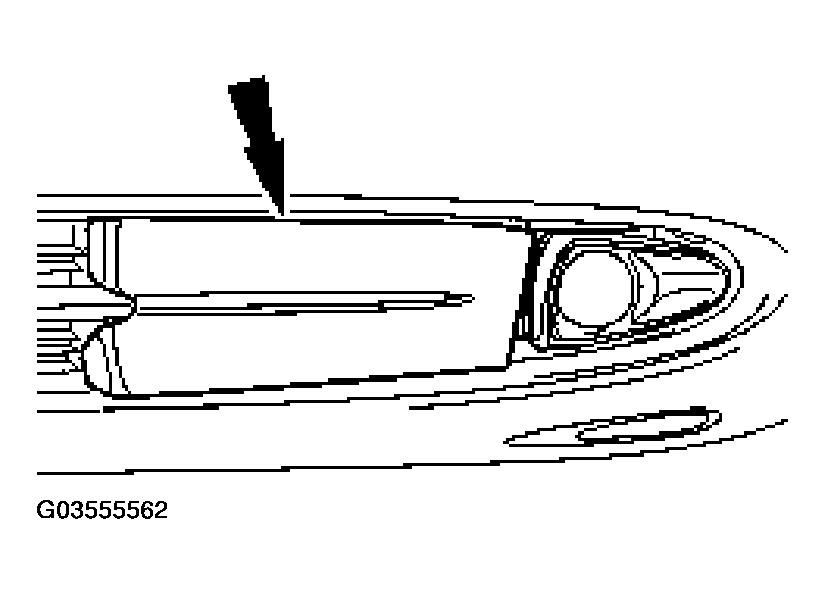 G03555562