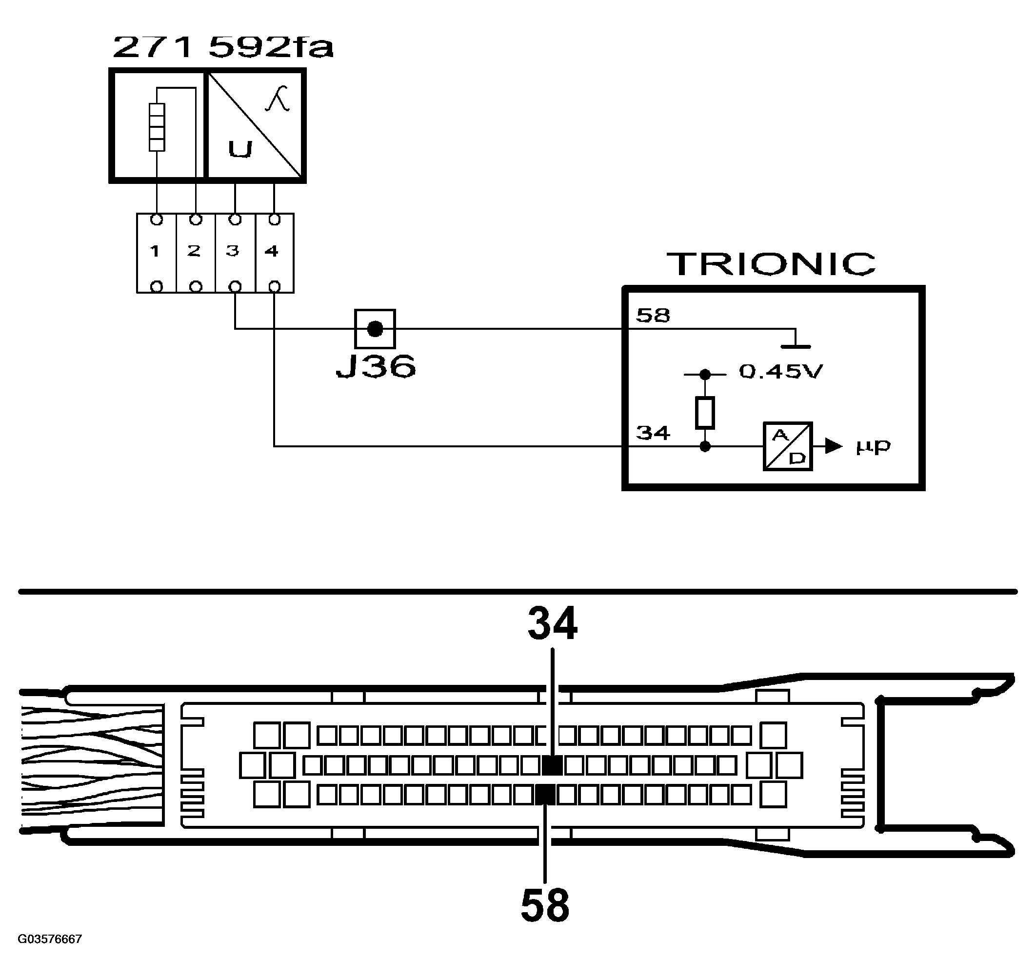 G03576667