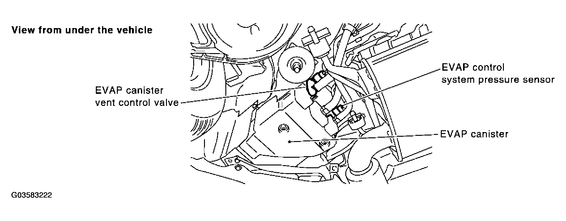 G03583222