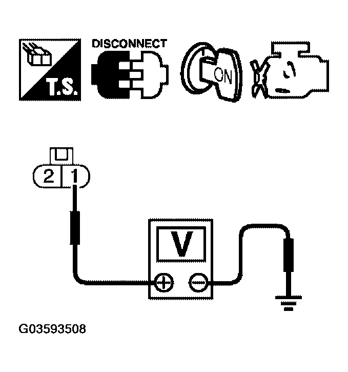 G03593508