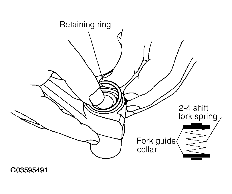 G03595491