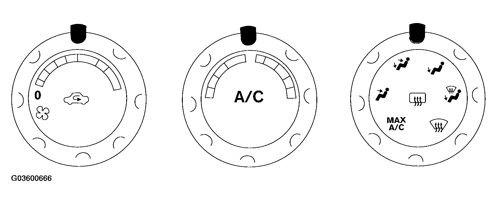 G03600666
