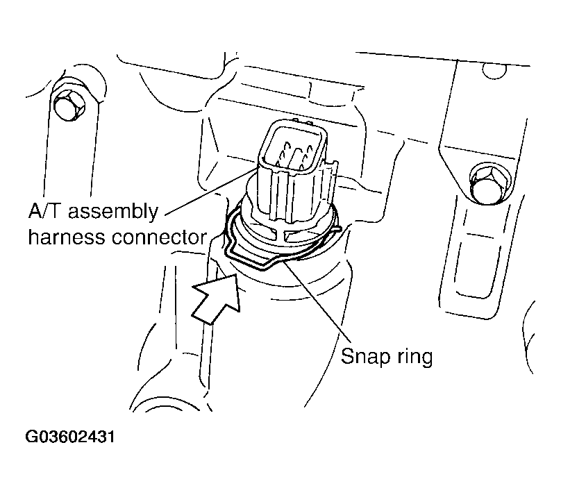 G03602431