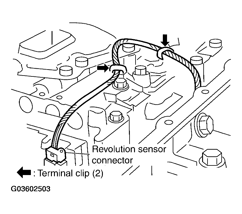G03602503